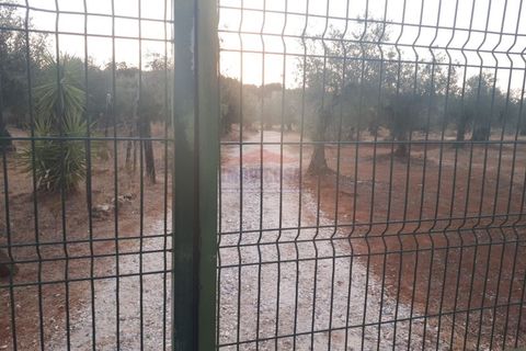 Terra a Vila Vicosa, Evora, Vila Vicosa - € 35.000 | Ref: SÒL_205 - foto 3