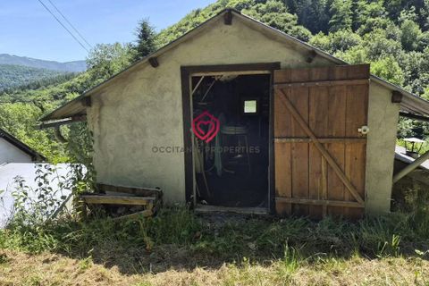 Villa i Aleu, Ariege, Aleu - € 107 000 | Ref: DK140 - foto 19