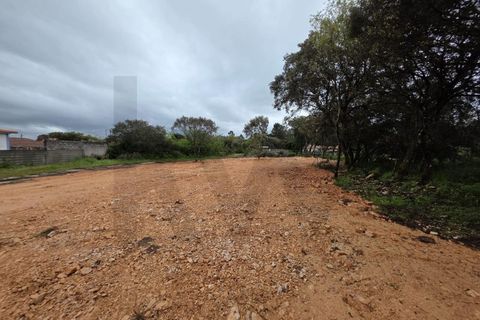 Terra em Fatima, Santarem, Fatima - € 55.000 | Ref: KWPT-033643 - foto 3