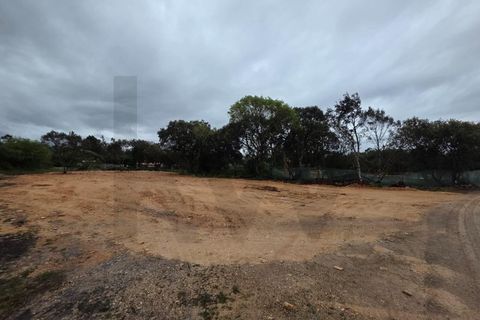 Terra em Fatima, Santarem, Fatima - € 55.000 | Ref: KWPT-033643 - foto 4