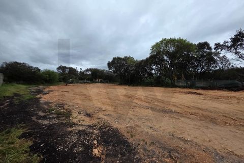Terra em Fatima, Santarem, Fatima - € 55.000 | Ref: KWPT-033643 - foto 5
