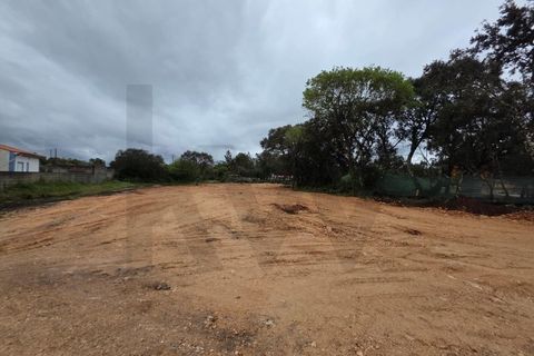 Terra em Fatima, Santarem, Fatima - € 55.000 | Ref: KWPT-033643 - foto 6