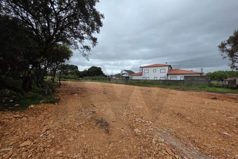 Terra em Fatima, Santarem, Fatima - € 55.000 | Ref: KWPT-033643 - foto 7