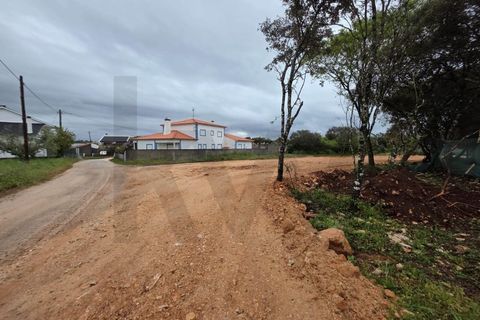 Terra em Fatima, Santarem, Fatima - € 55.000 | Ref: KWPT-033643 - foto 8