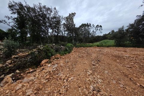 Terra em Fatima, Santarem, Fatima - € 55.000 | Ref: KWPT-033643 - foto 10