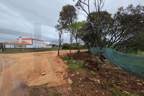 Terra em Fatima, Santarem, Fatima - € 55.000 | Ref: KWPT-033643 - foto 11