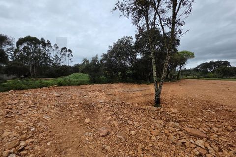 Terra em Fatima, Santarem, Fatima - € 55.000 | Ref: KWPT-033643 - foto 12