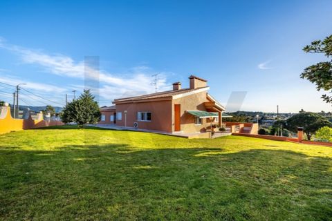 Farm i Nogueira do Cravo e Pindelo, Aveiro, Nogueira do Cravo e Pindelo - € 745.000 | Ref: KWPT-031326 - foto 23