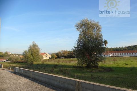 Helårsgrund i Asseiceira, Santarem, Asseiceira - € 26.500 | Ref: tr52 - foto 2