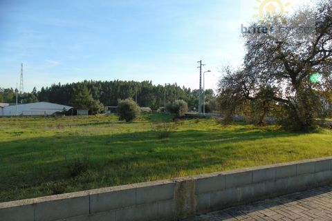 Helårsgrund i Asseiceira, Santarem, Asseiceira - € 26.500 | Ref: tr52 - foto 3
