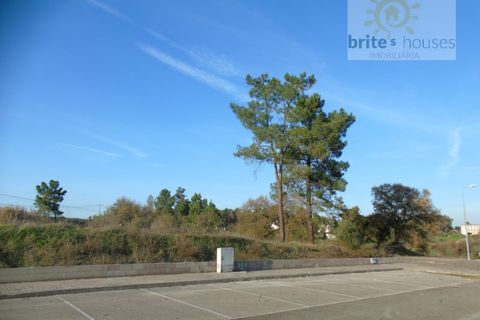 Helårsgrund i Asseiceira, Santarem, Asseiceira - € 26.500 | Ref: tr52 - foto 4