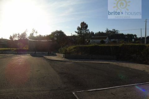 Helårsgrund i Asseiceira, Santarem, Asseiceira - € 26.500 | Ref: tr52 - foto 5