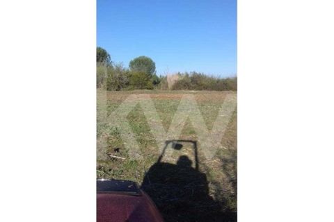 Helårsgrund i Cantanhede, Coimbra, Cantanhede - € 25.000 | Ref: 1196-2177 - foto 2
