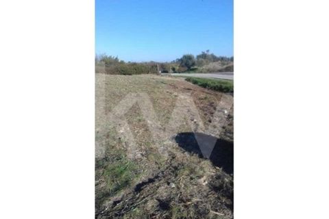 Helårsgrund i Cantanhede, Coimbra, Cantanhede - € 25.000 | Ref: 1196-2177 - foto 3
