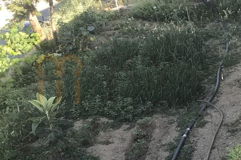 Landsbyhus i Mertola, Beja, Mertola - € 1.120.000 | Ref: BYS-1150 - foto 49