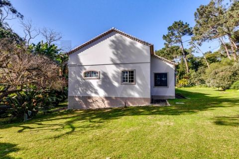 Granja a Cascais, Lisbon, Cascais - € 5.950.000 | Ref: KWPT-028888 - foto 32