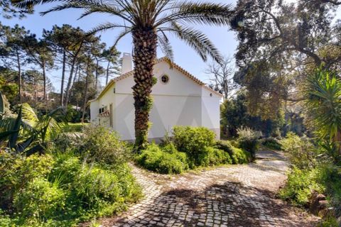 Granja a Cascais, Lisbon, Cascais - € 5.950.000 | Ref: KWPT-028888 - foto 35