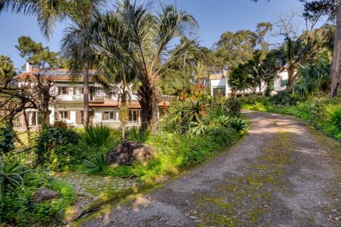 Granja a Cascais, Lisbon, Cascais - € 5.950.000 | Ref: KWPT-028888 - foto 39
