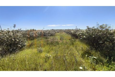 Helårsgrund i Castro Marim, Faro, Castro Marim - € 250.000 | Ref: BYS-1128 - foto 3