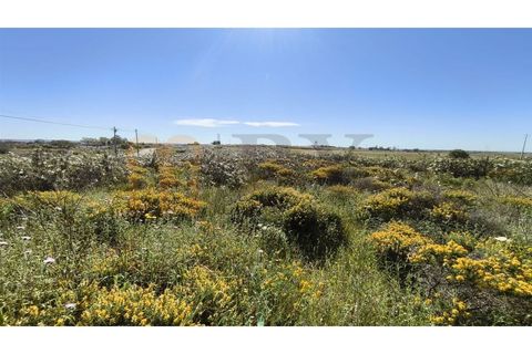 Helårsgrund i Castro Marim, Faro, Castro Marim - € 250.000 | Ref: BYS-1128 - foto 4