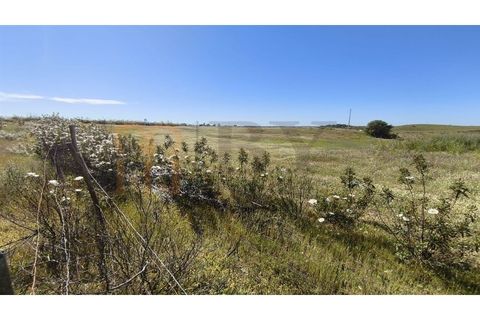 Helårsgrund i Castro Marim, Faro, Castro Marim - € 250.000 | Ref: BYS-1128 - foto 7