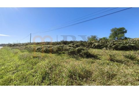 Helårsgrund i Castro Marim, Faro, Castro Marim - € 250.000 | Ref: BYS-1128 - foto 10