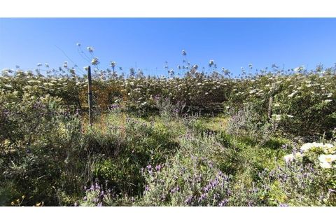 Helårsgrund i Castro Marim, Faro, Castro Marim - € 250.000 | Ref: BYS-1128 - foto 11