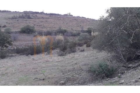 Tomt i Beja, Beja, Beja - € 18 500 | Ref: BYS-437 - foto 3