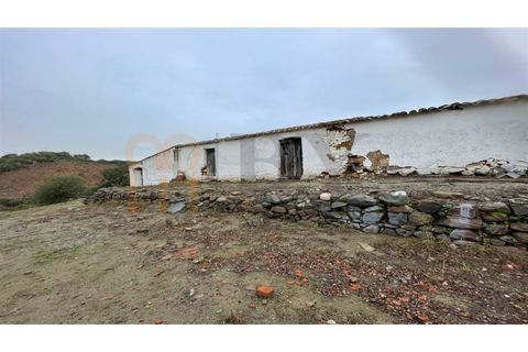 Masia a Serpa, Beja, Serpa - € 800.000 | Ref: BYS-826 - foto 3