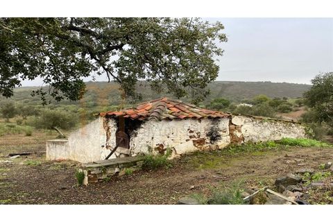 Masia a Serpa, Beja, Serpa - € 800.000 | Ref: BYS-826 - foto 6