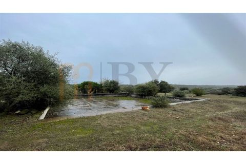 Masia a Serpa, Beja, Serpa - € 800.000 | Ref: BYS-826 - foto 7