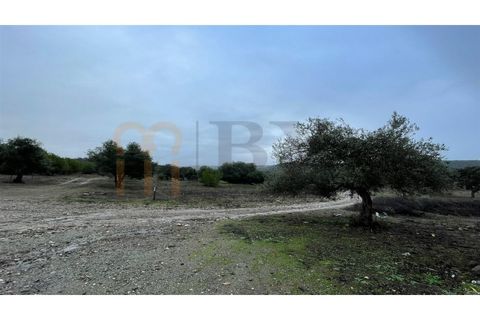 Masia a Serpa, Beja, Serpa - € 800.000 | Ref: BYS-826 - foto 8