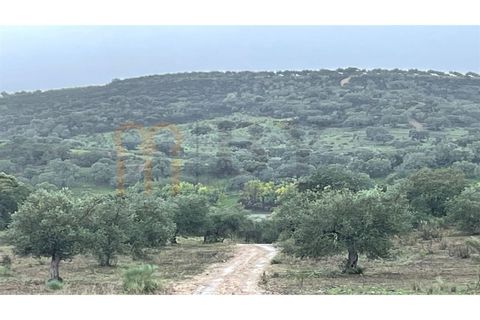 Masia a Serpa, Beja, Serpa - € 800.000 | Ref: BYS-826 - foto 9