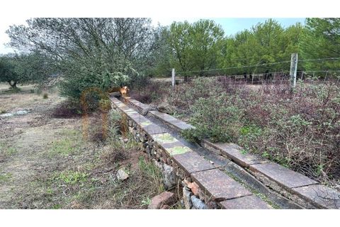 Masia a Serpa, Beja, Serpa - € 800.000 | Ref: BYS-826 - foto 10