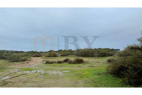 Masia a Serpa, Beja, Serpa - € 800.000 | Ref: BYS-826 - foto 11