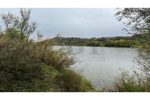Masia a Serpa, Beja, Serpa - € 800.000 | Ref: BYS-826 - foto 12