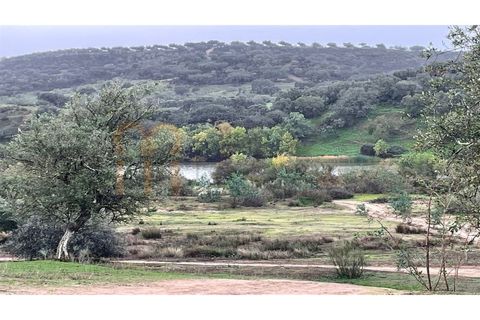 Masia a Serpa, Beja, Serpa - € 800.000 | Ref: BYS-826 - foto 14