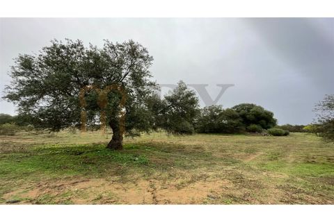 Masia a Serpa, Beja, Serpa - € 800.000 | Ref: BYS-826 - foto 16