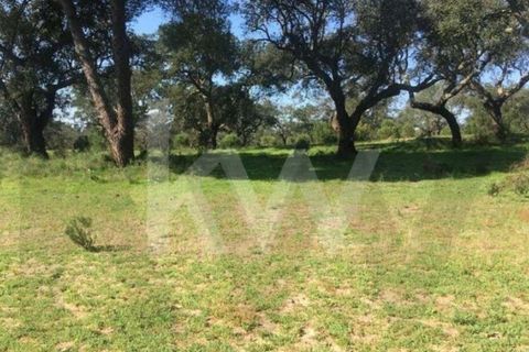 Helårsgrund i Palmela, Setubal, Palmela - € 750.000 | Ref: KWPT-024034 - foto 6