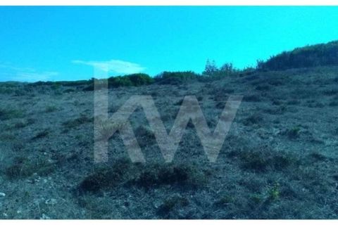 Terra a Almocageme, Lisbon, Almocageme - € 500/mes | Ref: 1196-2850 - foto 7