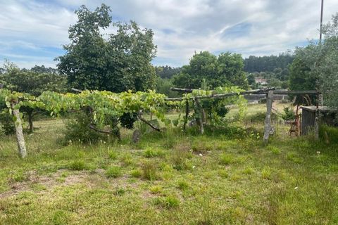 Helårsgrund i Vila Maior, Aveiro, Vila Maior - € 225.000 | Ref: SÒL_167 - foto 5