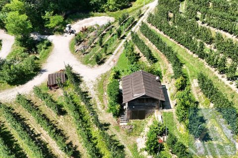 Terra a Conta, Trento, Conta - € 230.000 | Ref: 934 - foto 4