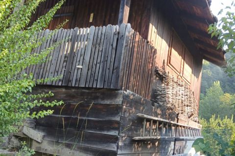 Terra a Conta, Trento, Conta - € 230.000 | Ref: 934 - foto 8