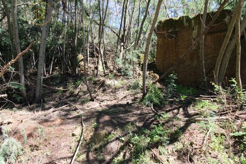 Terra a Marmelete, Faro, Marmelete - € 180.000 | Ref: TW268 - foto 4