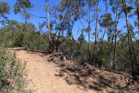 Terra a Marmelete, Faro, Marmelete - € 180.000 | Ref: TW268 - foto 12
