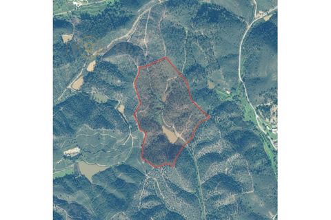 Terra a Marmelete, Faro, Marmelete - € 180.000 | Ref: TW268 - foto 13