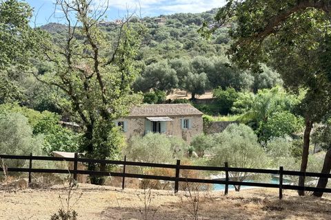 Villa i Aregno, Haute-Corse, Aregno - € 2 000 000 | Ref: 2384 - foto 20
