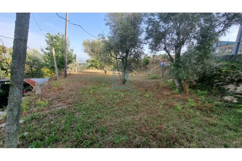 Villa i Penafiel, Porto, Penafiel - € 75.000 | Ref: IMO_448 - foto 12