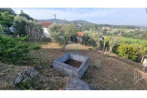 Villa i Penafiel, Porto, Penafiel - € 75.000 | Ref: IMO_448 - foto 17