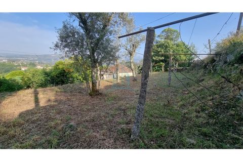 Villa i Penafiel, Porto, Penafiel - € 75.000 | Ref: IMO_448 - foto 18